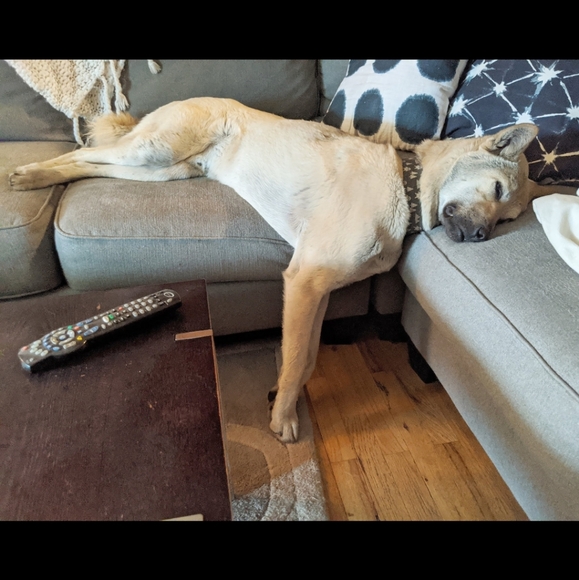 I'm Live! Come Sleep On Posh With Me!! - Picture 10 of 10